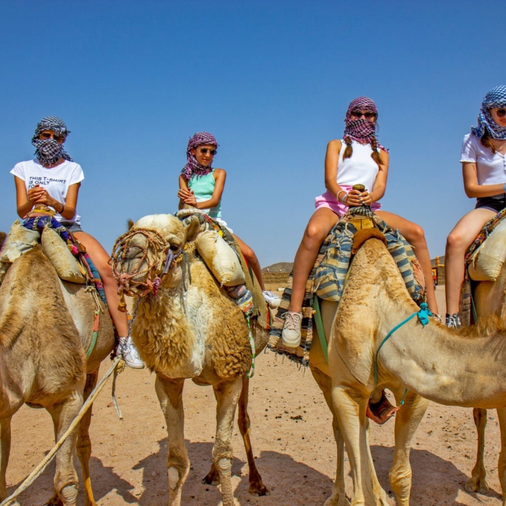 A group of people riding on the backs of camel.